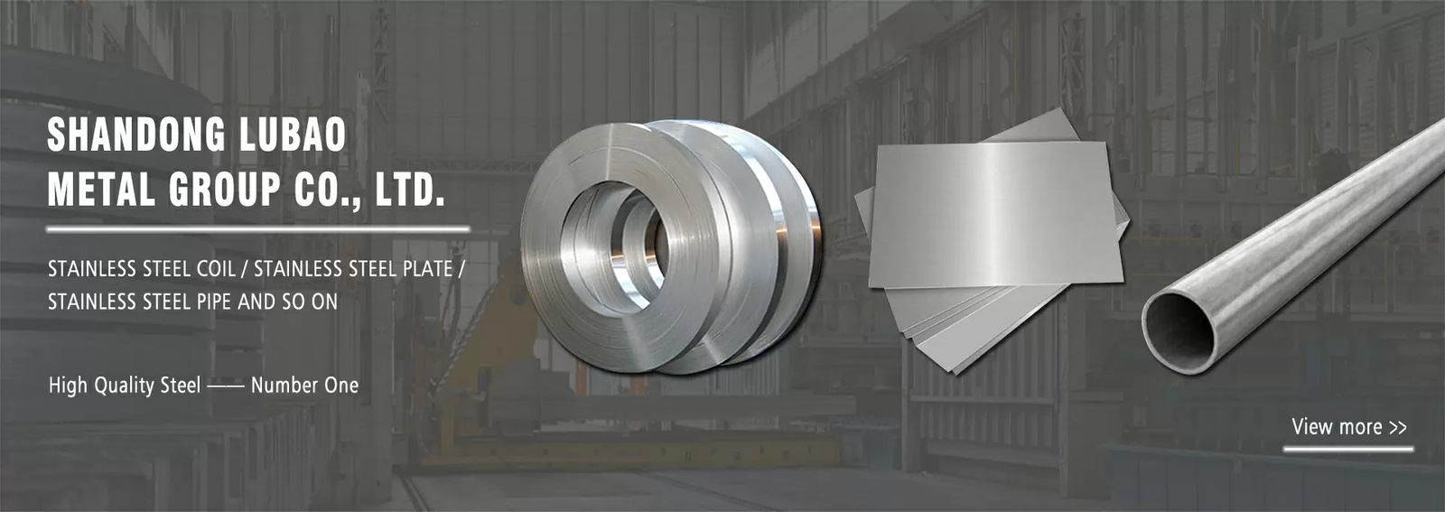 Carbon Steel Strip