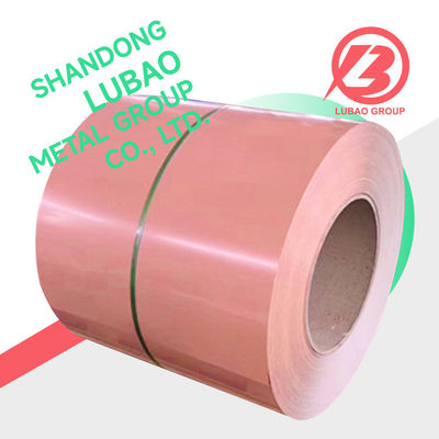 Affordable PPGI/PPGL with SGCC/CGCC/TDC51DZM/TDC52DTS350GD/TS550GD Grade from Chinese Manufacturers