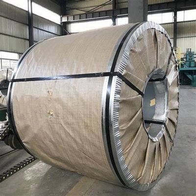 Customized Length Hot Dipped Galvanized Steel Coil ASTM/AISI/SGCC/CGCC/TDC51DZM/TDC52DTS350GD/TS550GD/DX51D Z Q195-q345