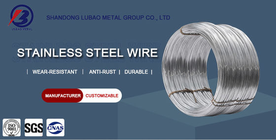 Stainless Steel Wire 304 304L 316 316L with Punching Processing Service in Customizable Size