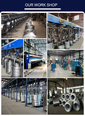 Customizable 3mm Galvanized Steel Wire with Customized Length and Diameter