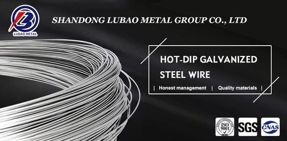 Customizable 3mm Galvanized Steel Wire with Customized Length and Diameter