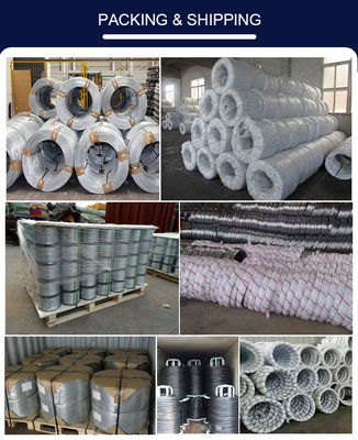 Affordable High Carbon Galvanized Iron Wire 0.5mm 1mm 1.5mm Customizable Cold Rolled Construction Materials ASTM Standard