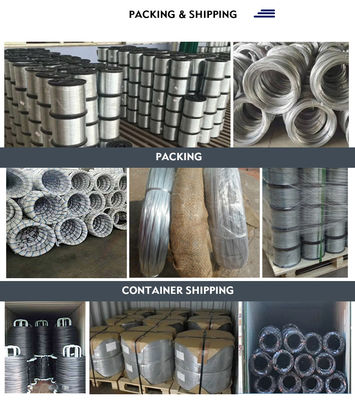 ±1% Tolerance Galvanized Iron Wire for Corrosion Resistance and Various Diameters from Direct