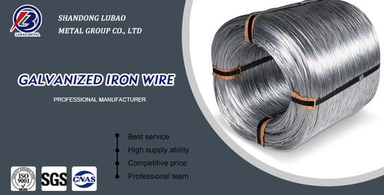 ±1% Tolerance Galvanized Iron Wire for Corrosion Resistance and Various Diameters from Direct